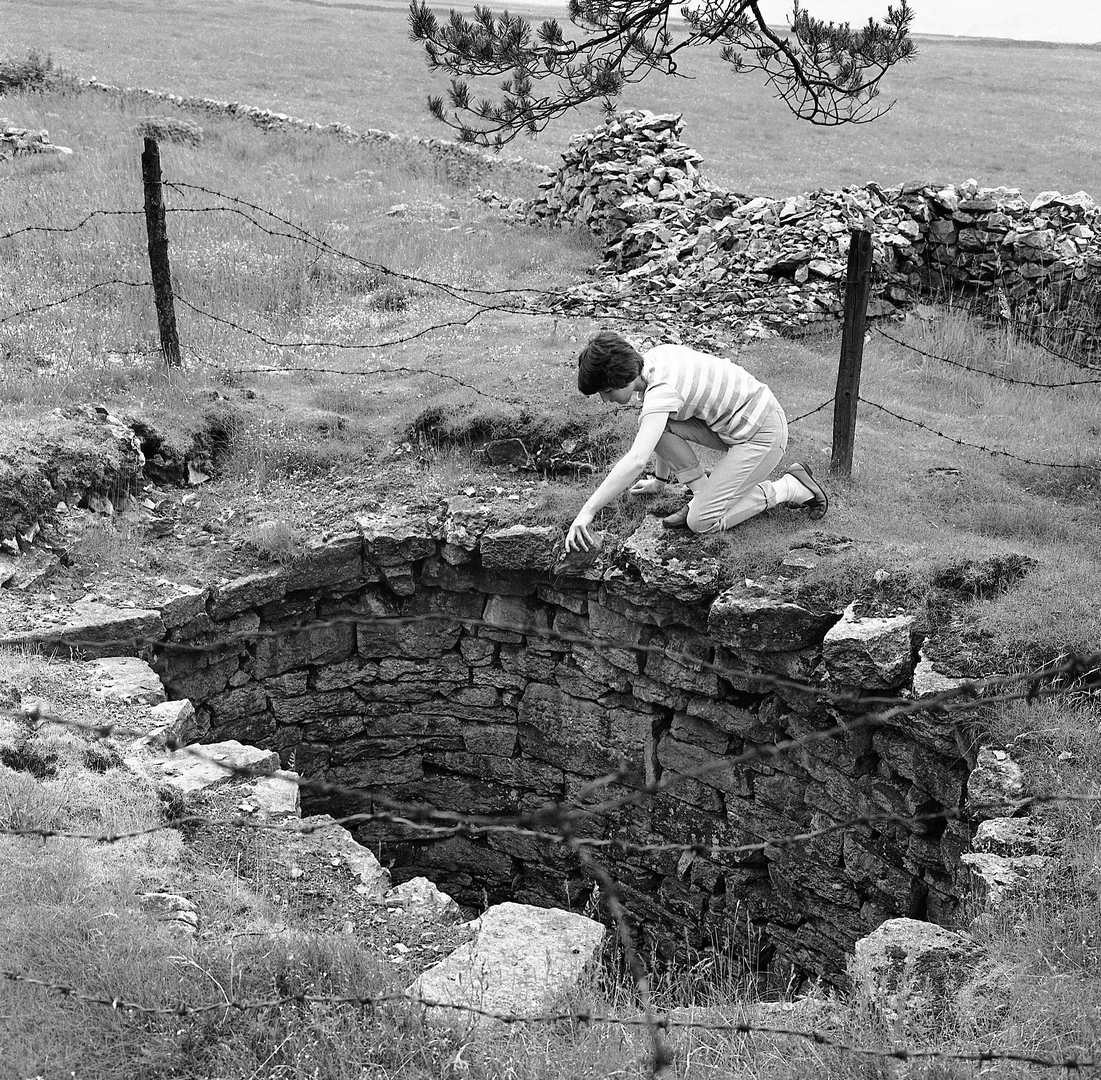 Hard Rake Drawing Shaft Sheldon 1968